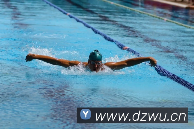 环球体育平台官网APP 封面图